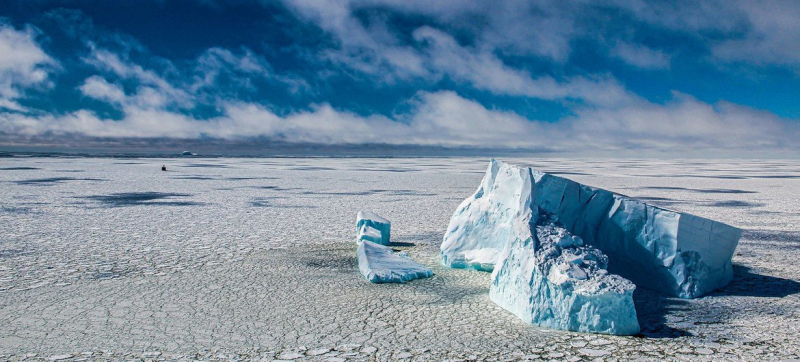 Gensek oon ob antarktide spjashhij gigant nachal probuzhdatsja iz za klimaticheskogo haosa 115ff3d.jpg