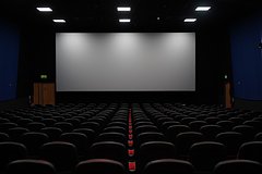 Prosnuvshujusja v zapertom na noch kinoteatre italjanku osvobodili spasateli 7c4cdad.jpg