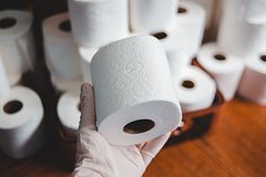 Vrachi predupredili o rasprostranennoj oshibke v tualete 2d456ec.jpg