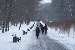 Rossijanok prizvali ne nosit stringi zimoj c601944.jpg