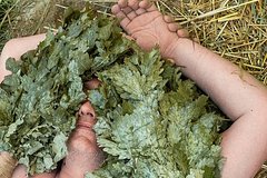 Vrach prizvala otkazatsja ot poseshhenija bani nekotoryh rossijan 9f498c4.jpg