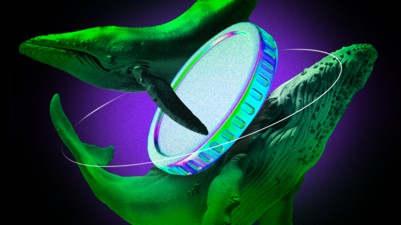 Ethereum whales boost holdings to record levels amid market optimism 875ba55.png