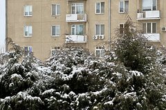 Pensioner poveril moshennikam i ostalsja bez kvartiry 871c3e1.jpg
