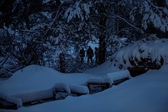 Vsu snova obstreljali doneck 2871436.jpg