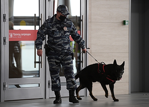 Deboshira snjali s samoleta za domogatelstva k stjuardesse 2b22d78.jpg