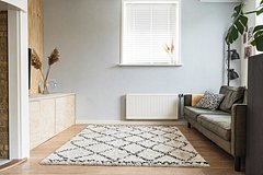Domohozjajkam dali sovety po vyboru kovrika db1d9ba.jpg