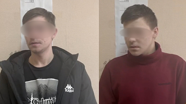 Dvoe bratev napadali i grabili prohozhih v centre moskvy 7878db1.jpg