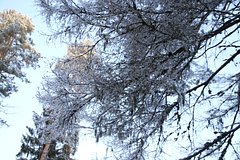 Rossijan predupredili ob anomalno holodnoj pogode 56f7551.jpg