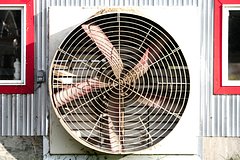 V podmoskove spasli provalivshegosja v ventiljaciju kota 26980f0.jpg