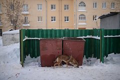Zhiteli rossijskogo goroda pozhalovalis na opasnye othody vo dvorah 9891724.jpg