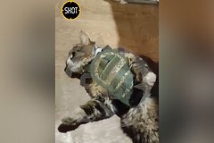 Zhivushhemu s voennosluzhashhimi na peredovoj kotu podarili bronezhilet c528781.jpg