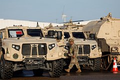 Litva dopustila ispolzovanie sil nato v obhod ustava 381fd73.jpg