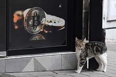 Nazvan predel rosta stoimosti bitkoina 9171146.jpg