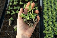 Raskryt neozhidannyj sposob prodlit zhizn c3044af.jpg