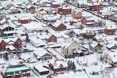 Rossijanin otkryl strelbu po domu soseda iz za ego svobodno guljajushhej sobaki 5dc05de.jpg
