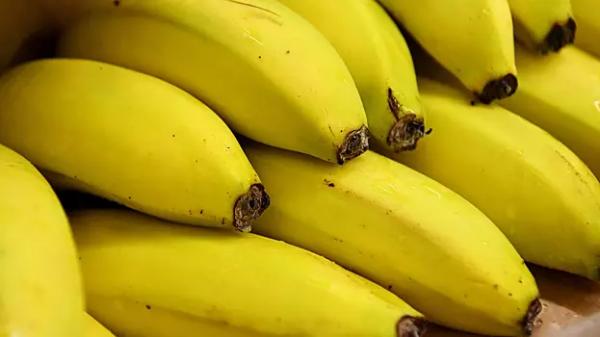 Tamozhenniki nashli 11 kg kokaina v korobkah s bananami iz belgii f87de86.webp