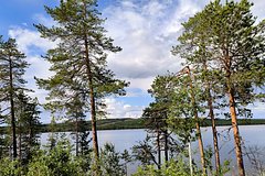 Rossija i tailand obsudili sotrudnichestvo v sfere ekologii d984670.jpg