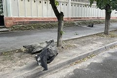 Voennyj analitik zajavil o vyhode vsu za krasnye linii 87e9ff5.jpg