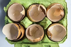 Dachnikam podskazali deshevoe udobrenie 8032b77.jpg