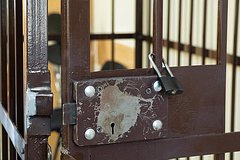 Pytavshegosja primknut k vsu rossijskogo traktorista prigovorili k tjurme 242e26a.jpg