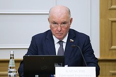 Senator nazval besstydnym davlenie zapada na gruziju iz za zakona ob inoagentah 99ca4bb.jpg