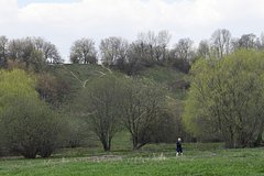 V moskovskom lesu nashli krupnyj shron boepripasov cd0c3a9.jpg