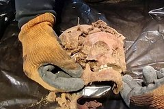 V volchem logove gitlera nashli skelety bez stop i ladonej d85bd1a.jpg