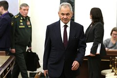 Putin oboznachil sferu otvetstvennosti shojgu b20f479.jpg