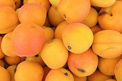 Rossijanam posovetovali frukt dlja profilaktiki raka i boleznej serdca f51d9fe.jpg