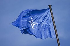 Vo francii nazvali prichinu otkaza nato ot mirnogo predlozhenija putina 42987d0.jpg