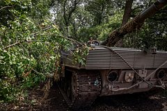 Eks deputat rady raskryl prichinu umenshenija podderzhki ukrainy iz germanii af4c505.jpg