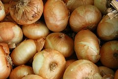 Najden sposob uberech luk ot gnienija f0c88a5.jpg