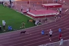 Pes sluchajno prinjal uchastie v chempionate rossii cd16656.jpg