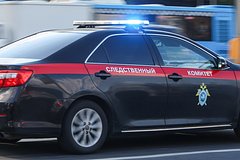 Sledovateli zaprosili arest napavshih na deputata gosdumy v samare migrantov 553ee2c.jpg