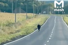 Shturmovik raskryl podrobnosti spasenija srochnika vsu v kurskoj oblasti db6da5d.jpg